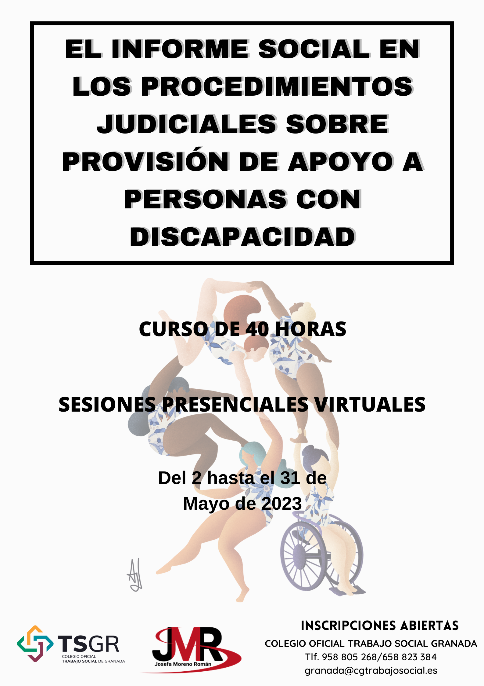CURSO: El Informe social en los procedimientos judiciales sobre provisión de apoyo a personas con discapacidad