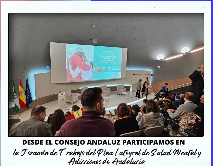 El Consejo Andaluz de Colegios Profesionales de Trabajo Social participan en la Jornada de Trabajo del Plan Integral de Salud Mental y Adicciones